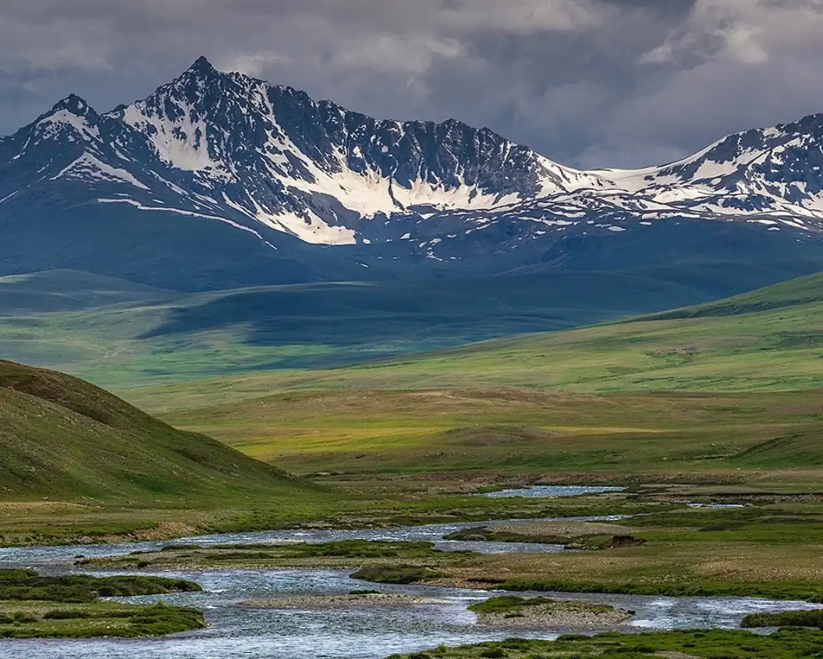 Deosai Plains