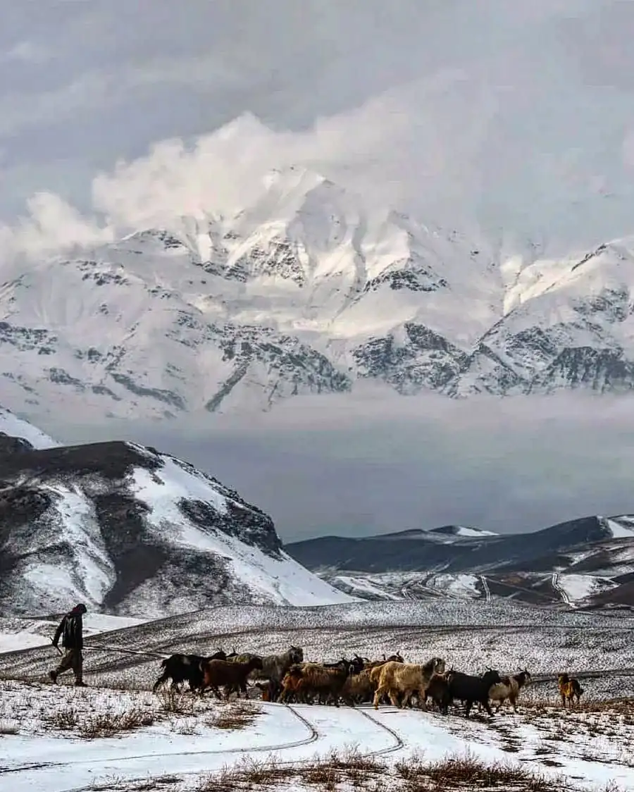 A Hindukush Experience newsletter